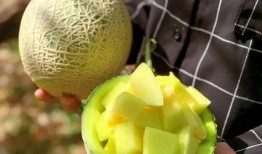 娱乐圈最近有什么瓜可以吃,明星秘闻大揭秘！