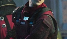 刘启爆料图片高清大图视频,高清大图视频揭秘幕后真相